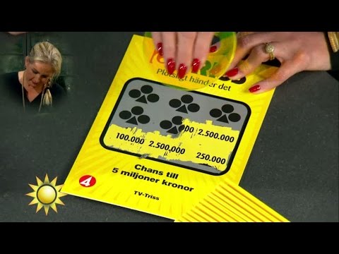 Triss: "Det blir en väldigt bra resa" - Nyhetsmorgon (TV4)