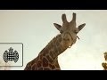 Chris Malinchak - So Good To Me (Official ...