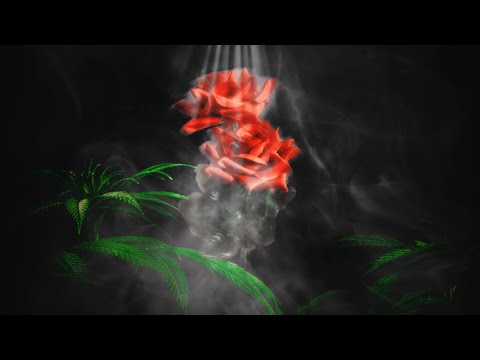 Mc Capelinha & Mc Rafa - Se você quiser ( Gibin)