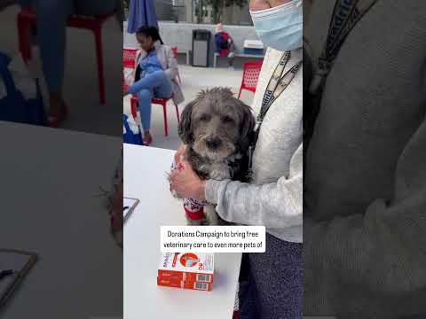 Fetch's 4th Annual 101 Donations Campaign