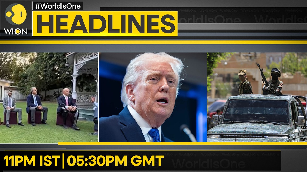 Misri Holds Key Meet With US Lawmakers  | 'UK Suspects Wanted to Do Big Damage' | WION HEADLINES