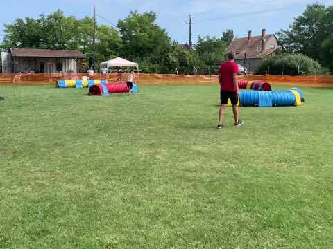 Jövő reménységei kezdő agility verseny - Happy Shepherds Zeke “ZIK”