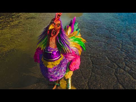 Chicharrón Pet Rooster Gameplay (Far Cry 6) HD