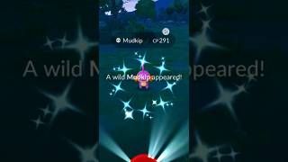 ✨SHINY MUDKIP✨ #pokemon #pokemongo #shinypokemon #shorts #gaming