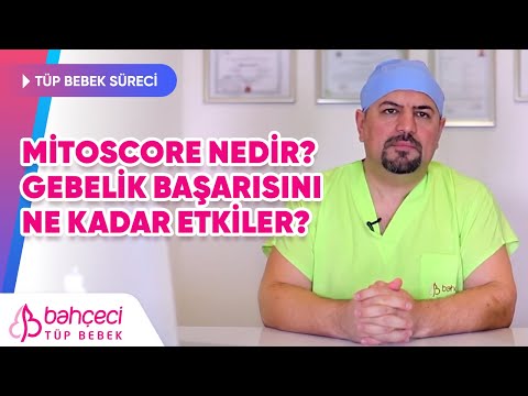 Mitoscore Nedir, Gebelik Başarısını Nasıl Etkiler?