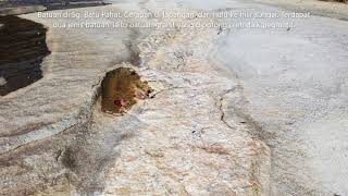 Download lagu Sg Batu Pahat mp3 Download lagu Sg Batu Pahat mp3