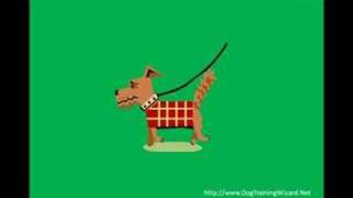 Dog Training: Stop Dog Barking Behavior