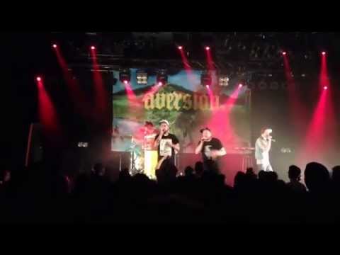 Antilopen Gang in Heidelberg, Halle 02