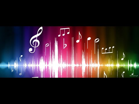 DISKO POLO 11 KOWAL 2020