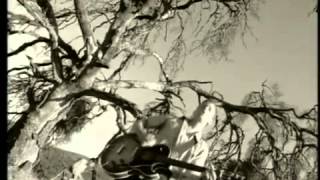 Buffalo Tom   Sodajerk