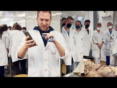 Anatomie Prüfung - Recognize und Specify