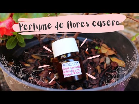 Perfumes caseros con flores: guía práctica paso a paso