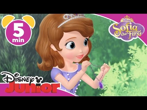 Sofia the First: Amber's Fancy Dress