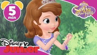 Magical Moments | Sofia the First: Amber&#39;s Fancy Dress | Disney Junior UK