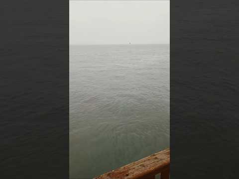 beautiful😍 #ytshorts #sea #peace