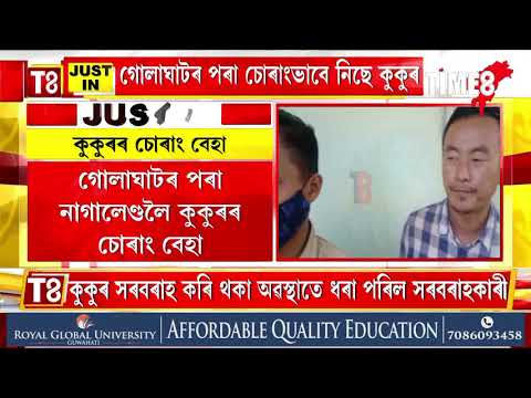 গোলাঘাটৰ পৰা নাগালেণ্ডলৈ কুকুৰৰ চোৰাং বেহা