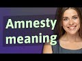 Amnesty Meaning Of Amnesty