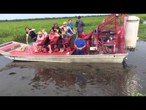 Jean Laffite swamp tour