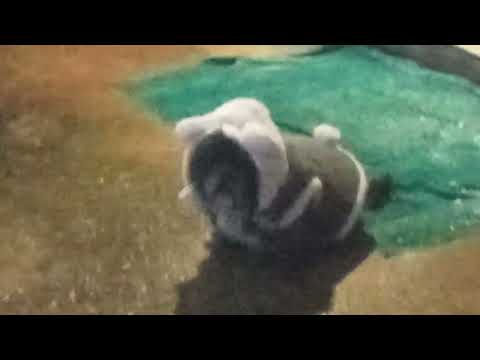 Scenes from Winter Storm in Harrison, Arkansas. 1/15/2022