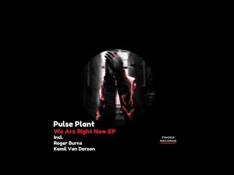 Pulse Plant - We Are Right Now (Original Mix)