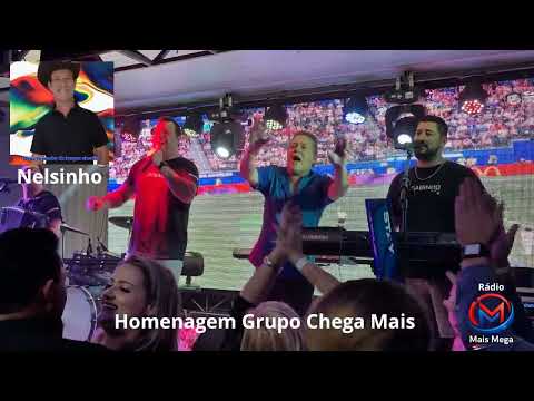 Homenagem Grupo Chega Mais, Nelsinho