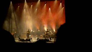 racoon-close your eyes  live