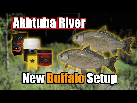 New Setup Buffalo Spot in Akhtuba River - Russian Fishing 4 #431