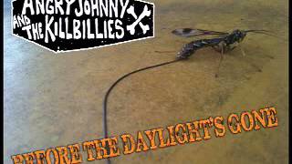 Angry Johnny And The Killbillies-Before The Daylight&#39;s Gone