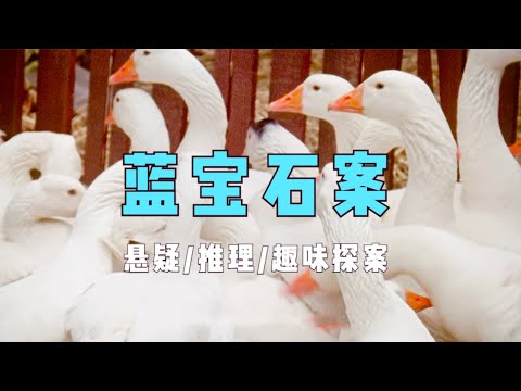 经典入门级探案作品，丝丝入扣的推理过程，既逻辑缜密又趣味十足