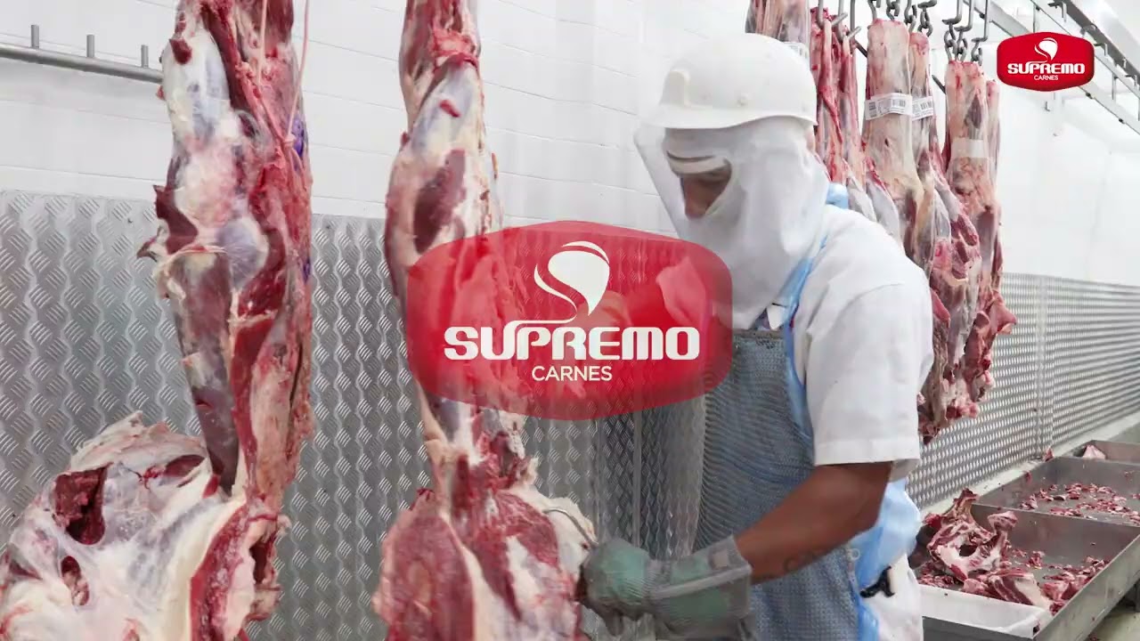 Vídeo