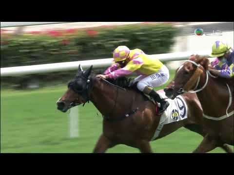 2020/21 (462) - Highly Procactive (好好學習) - 田泰安 (試準而來一放到底贏馬)