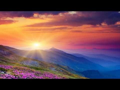 Pave the way - Lux Inspira (Music without limitation Vlog)