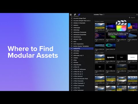 Where to find Modular Template assets in Final Cut Pro? — MotionVFX Tutorial EP 2