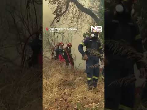 Greece battles multiple wildfires as strong winds spread flames #nocomment #youtubeshorts #shorts