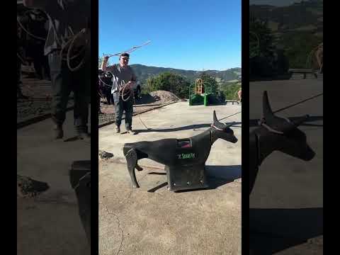 roping with my new shoot and buddy!!