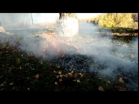 Timelapse Neffos X20