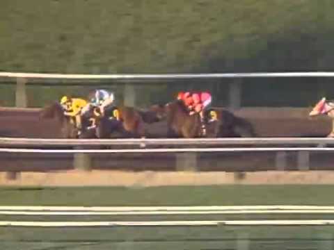 1986 Santa Margarita Invitational   LADY'S SECRET