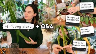 Big Planty Rehab + BIG Questions 🌱
