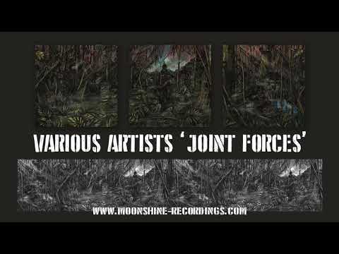 Blind Prophet & Bukkha - Stone Dub VIP