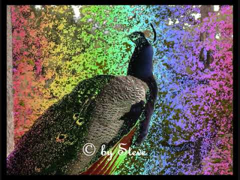 Eddie Russ * Feelin' Fine *1978 Jazzfunk/ instrumental/ audio