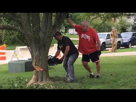 Tree Cutting Fail