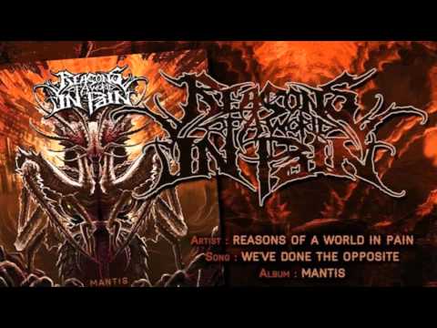 Reasons of a World in Pain -  We've done the opposite (Featuring Luc Lemay)