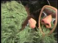 0578 A Witch Curses Oscar With A Nose
