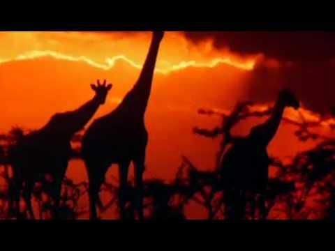 Tatanka - Afrika (Video) (HD)