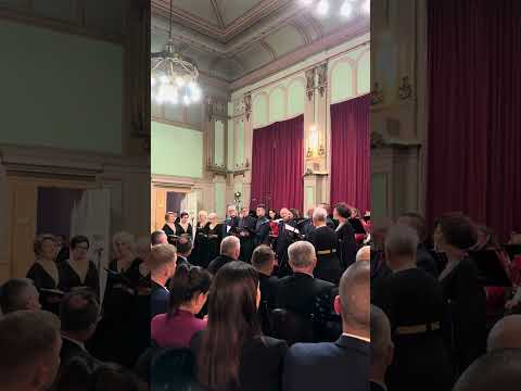 Viteški akordi i Ivo Jandrić - Bosno zemljo