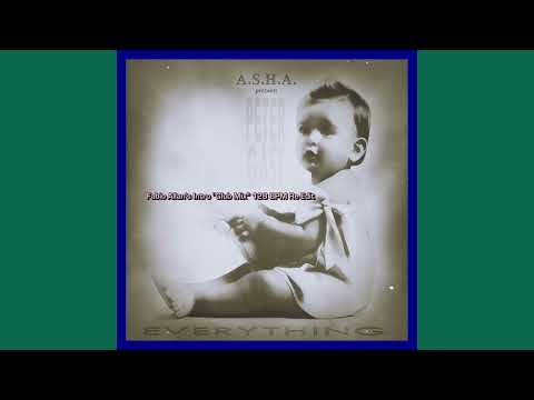 A.S.H.A. presents Peter Gast - Everything (Fabio Allan's Intro ''Club Mix'' 128 BPM Re-Edit)