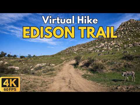 4K Treadmill Virtual Hike – Edison Trail at Box Springs Mountain | 42-Min Scenic POV Walk