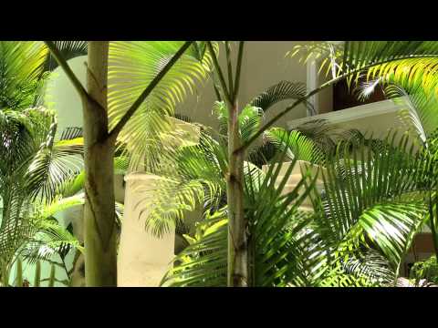 044.MPG, Misha Normatov,