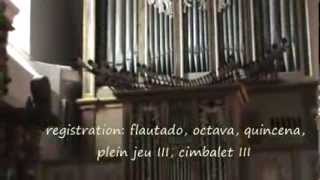 preview picture of video 'orgue Vielha (E) - deux versets de A. van den   KERCKHOVEN (XVIIe siècle)'