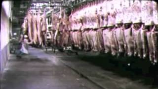 Charlie Chaplin - The Greatest Speech Ever Made